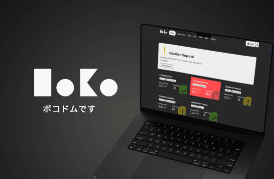 Bokodm RAID manager screenshot
